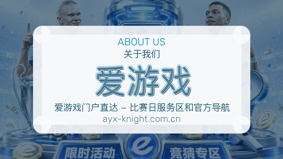 爱游戏服务说明